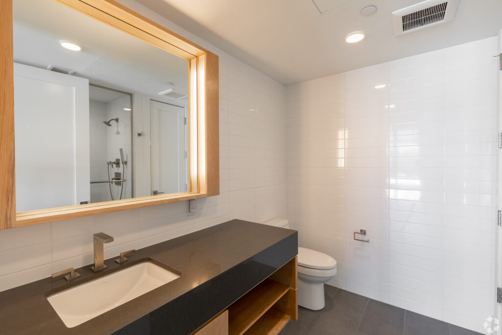 master bathroom with a large vanity sink with black counters